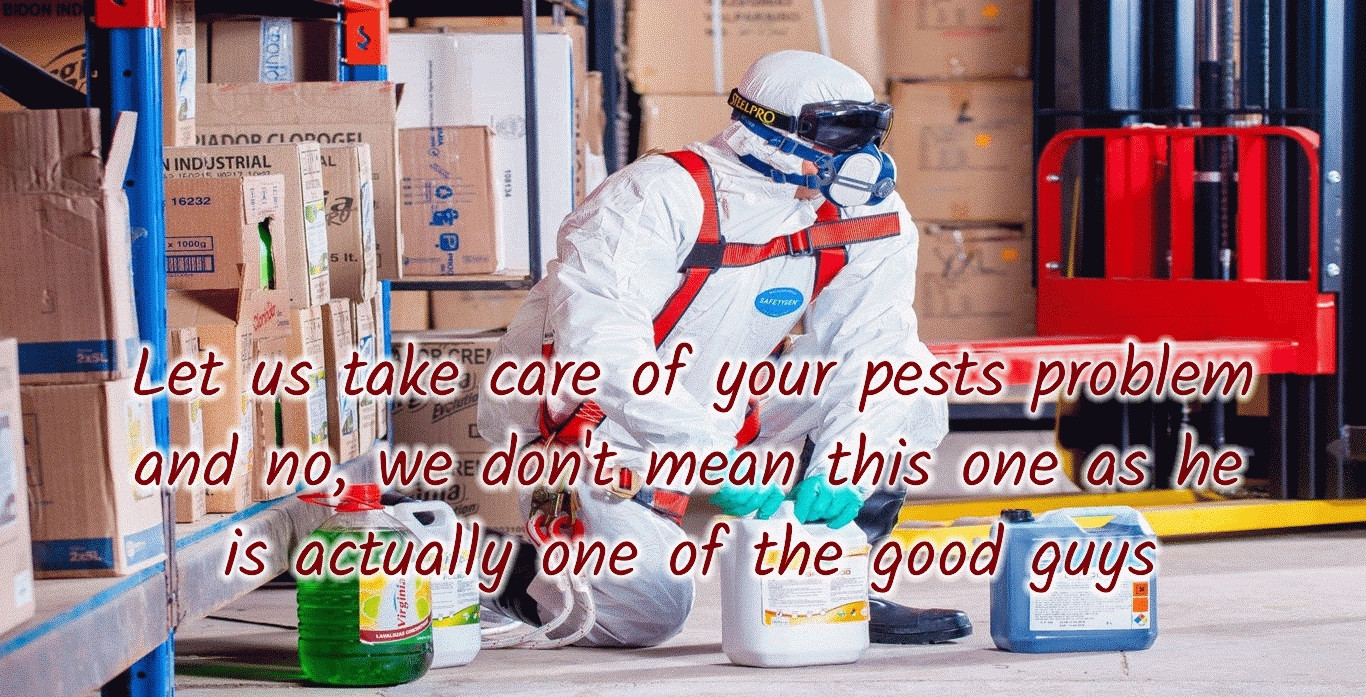 Pest Control