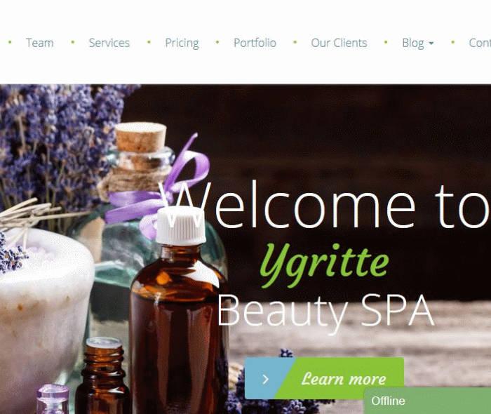 Spa Website