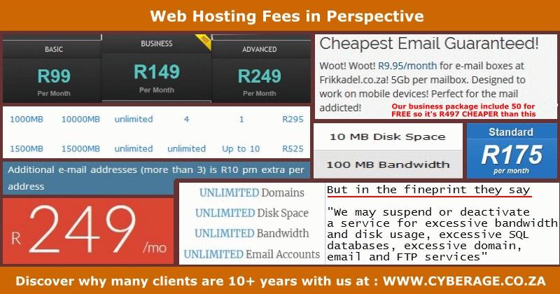 Web Hosting Fees in Perspective